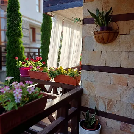 Mila Vip * バンスコ