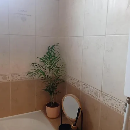 Apartmán Mila Vip *