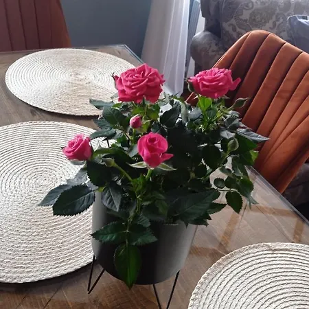 Appartement Mila Vip *